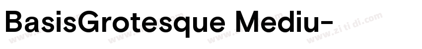 BasisGrotesque Mediu字体转换